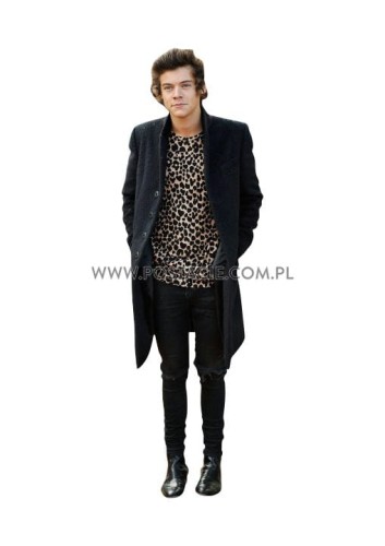 Harry Styles z kartonu sklep internetowy