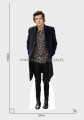 Harry Styles z kartonu sklep internetowy