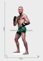 Conor McGregor 02.jpg