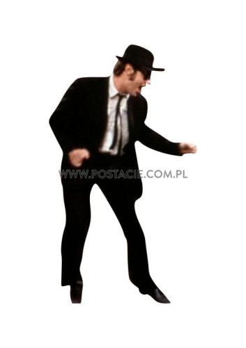 Dan Akroyd z kartonu sklep internetowy