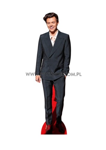 Harry Styles z kartonu sklep internetowy