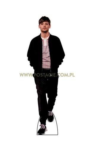 Louis Tomlinson z kartonu sklep internetowy