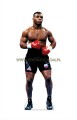 Mike Tyson z kartonu sklep internetowy
