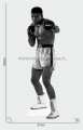 Muhammad Ali z kartonu sklep internetowy