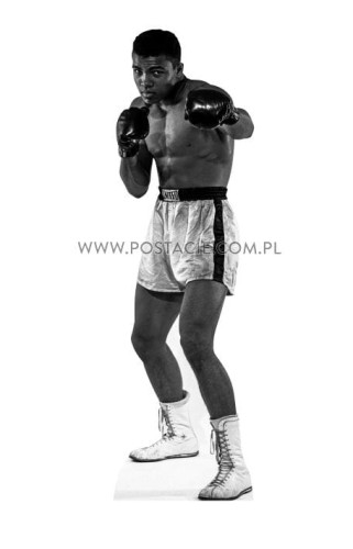 Muhammad Ali z kartonu sklep internetowy