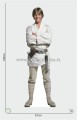 Luke Skywalker