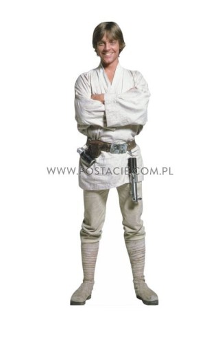 Luke Skywalker z kartonu sklep internetowy
