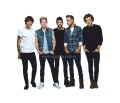 One Direction z kartonu sklep internetowy