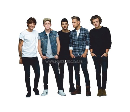 One Direction z kartonu sklep internetowy