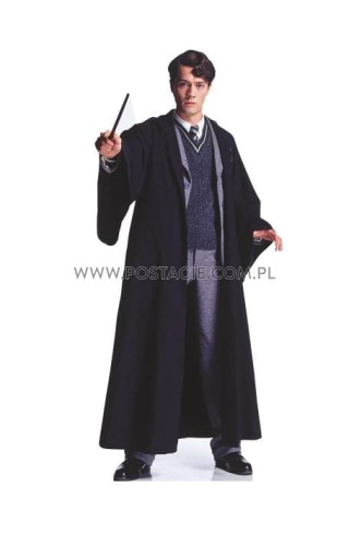 Tom Riddle z kartonu sklep internetowy