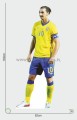 Zlatan Ibrahimovic z kartonu sklep internetowy