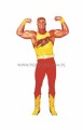 Hulk Hogan