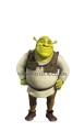Shrek (2) z kartonu sklep internetowy