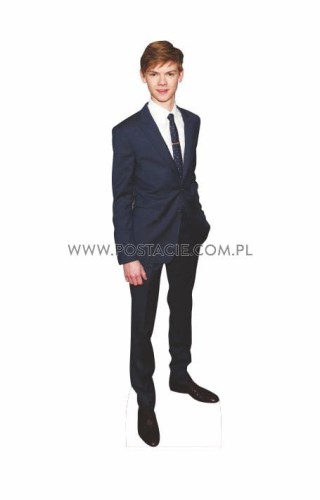 Thomas Brodie Sangster z kartonu sklep internetowy