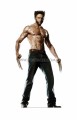 Wolverine 1a.jpg