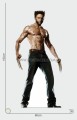 Wolverine 1.jpg