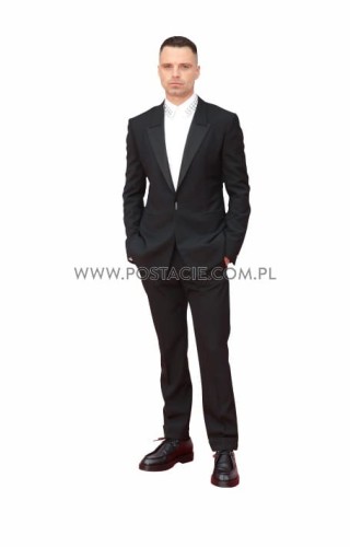 Sebastian Stan (2) z kartonu sklep internetowy