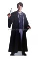 Tom Riddle z kartonu sklep internetowy