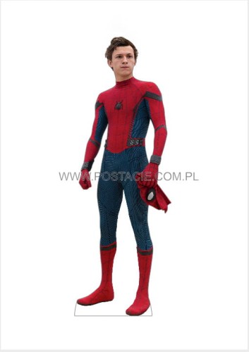 Tom Holland (4) z kartonu sklep internetowy