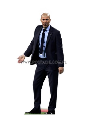 Zinédine Yazid Zidane z kartonu sklep internetowy