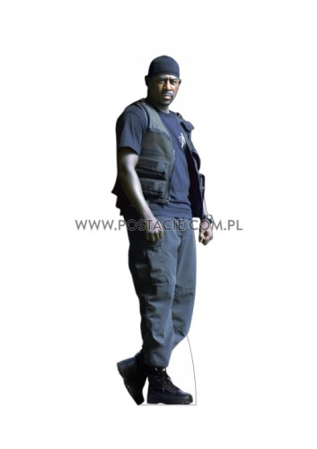 Martin Lawrence z kartonu sklep internetowy