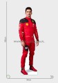 Charles Leclerc z kartonu sklep internetowy