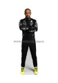 Lewis Hamilton (2) z kartonu sklep internetowy