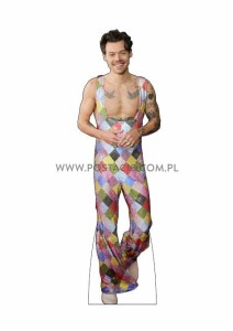 Harry Styles  (6)