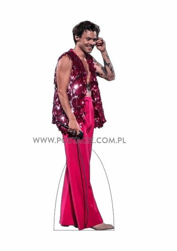 Harry Styles 13b.jpg