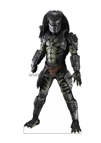 Predator (2) z kartonu sklep internetowy