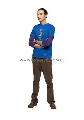 Sheldon Lee Cooper z kartonu sklep internetowy