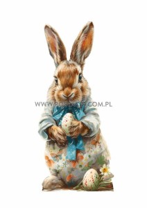 Bunny 