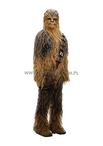 Chewbacca 01b.jpg
