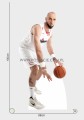 Gortat a.jpg