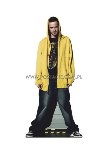 Aaron Paul