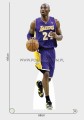 Kobe Bryant (2) z kartonu sklep internetowy