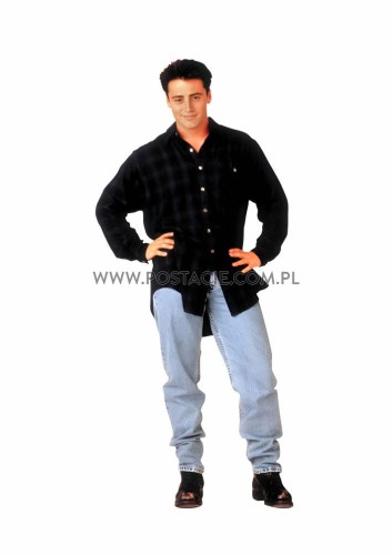 Matt LeBLanc (2) z kartonu sklep internetowy