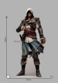 Assassin’s creed IV Black Flag a.jpg
