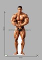 Kevin Levrone.jpg