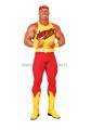 Hulk Hogan 02 a.jpg