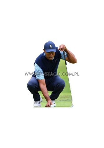 Tiger Woods z kartonu sklep internetowy